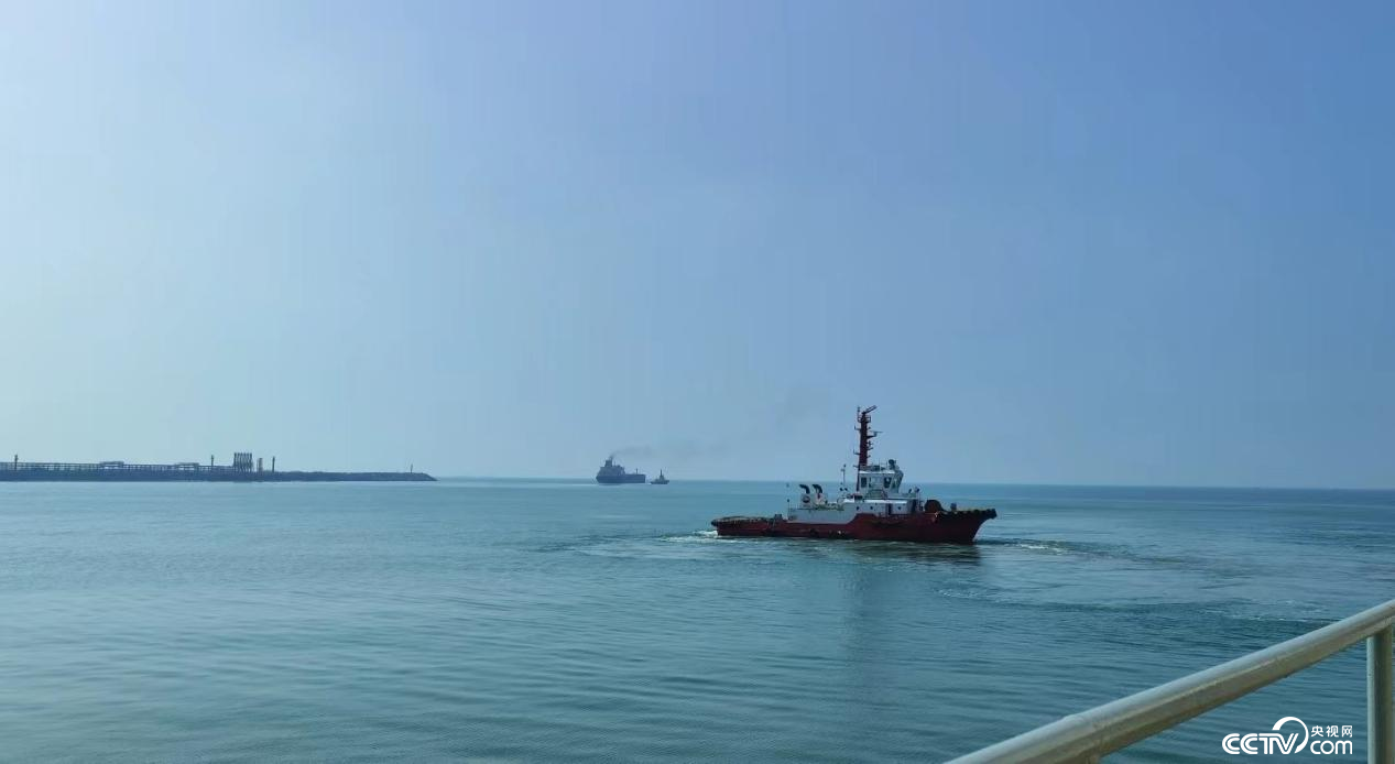 揭阳大南海石化工业区码头实景