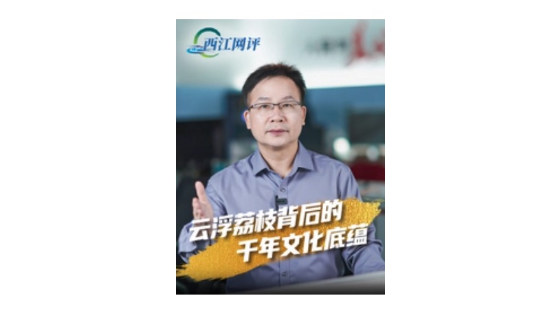 西江网评丨云浮荔枝背后的千年文化底蕴