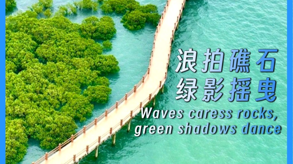 Waves caress rocks, green shadows dance