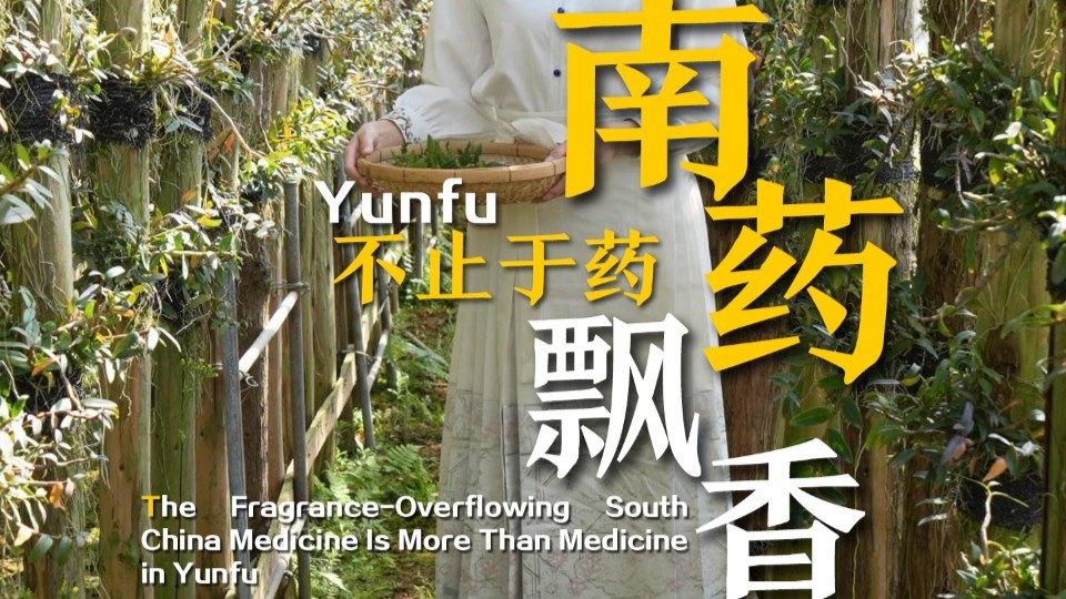 Fragrance-overflowing South China Medicine is more than medicine in Yunfu