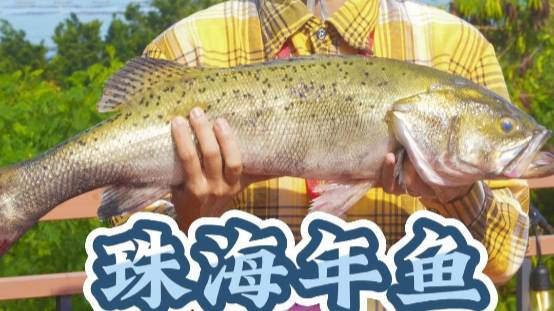 Zhuhai New Year Fish is becoming a global New Year Fish