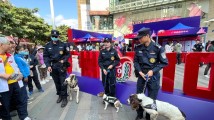 装甲防暴车、搜毒搜捕警犬……今天的北京路有个迷你“警营” 装甲防暴车、搜毒搜捕警犬……今天的北京路有个迷你“警营”