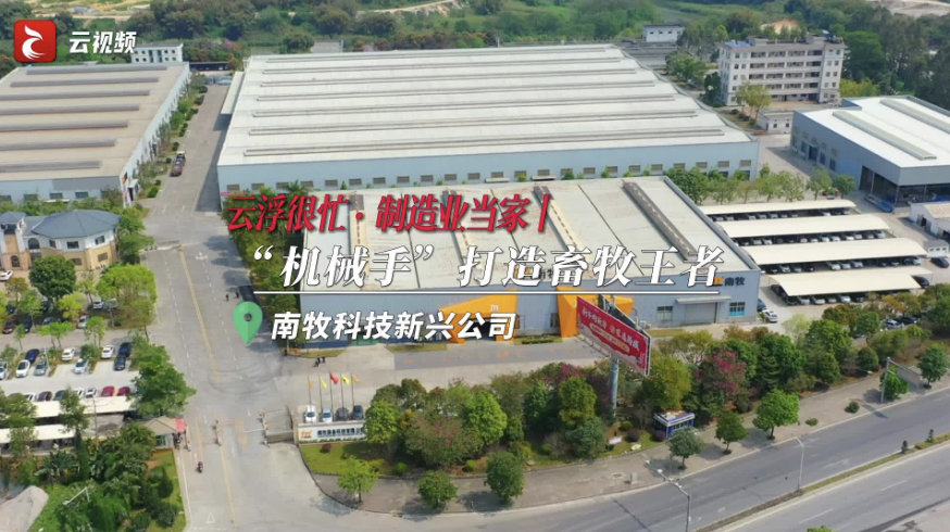 云浮很忙·制造业当家丨南牧科技：“机械手”打造畜牧王者！