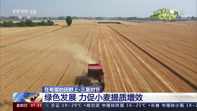 大国“粮”策｜各地推进绿色方式 力促小麦稳产提质