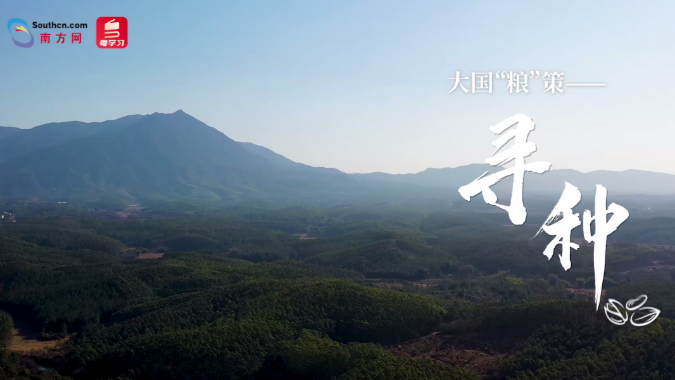 大国“粮”策 | 寻种：小小种子，现代农业背后的“芯片”