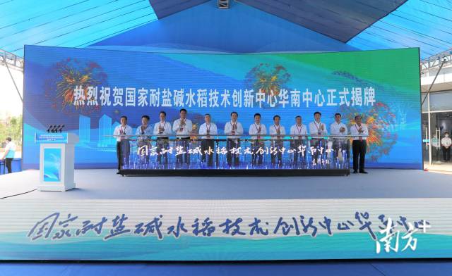 国家耐盐碱水稻技术创新中心华南中心揭牌。