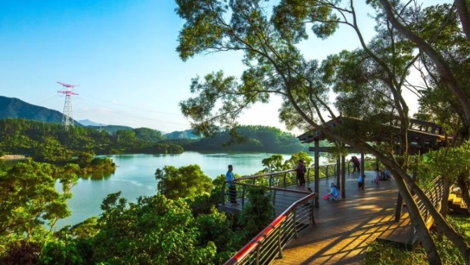 广东全省文化和旅游市场呈现平稳态势 广东全省文化和旅游市场呈现平稳态势