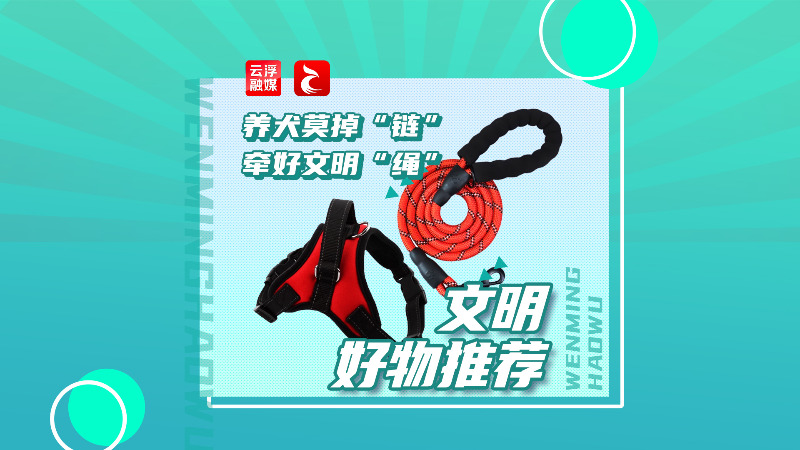 文明•跃 | 养犬莫掉“链”，牵好文明“绳”