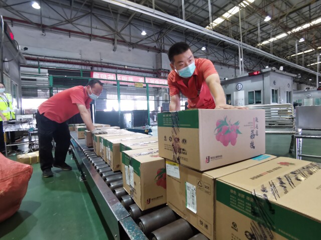 Up 13.3% YoY! Guangdong exports 130.91 billion RMB of agricultural products in 2023