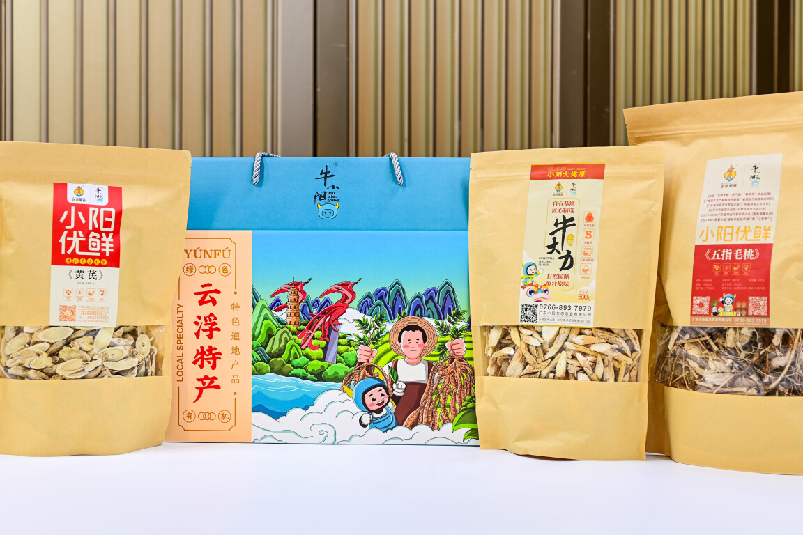 “向上突围”云浮高质量发展融媒报道丨小阳农业打造牛大力全链条 助力云浮南药产业跑出“加速度”