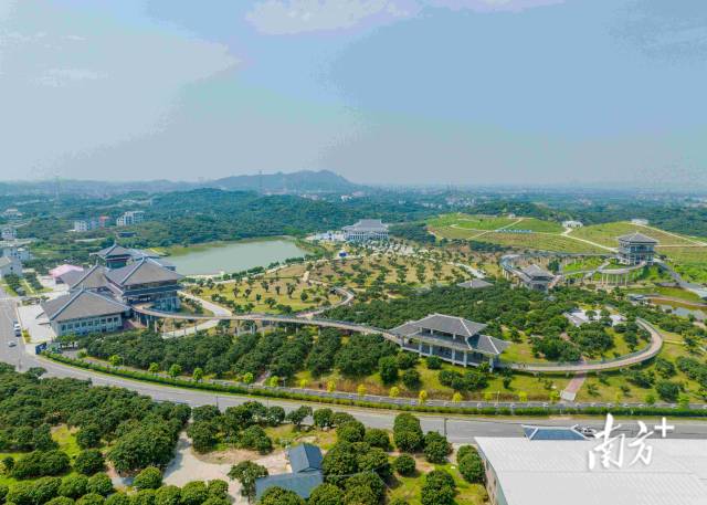 　　国家荔枝种质资源圃、中国荔枝博览馆、中国荔枝产业大会会址等三大国字号平台位于柏桥荔博园西片区。李达 摄
