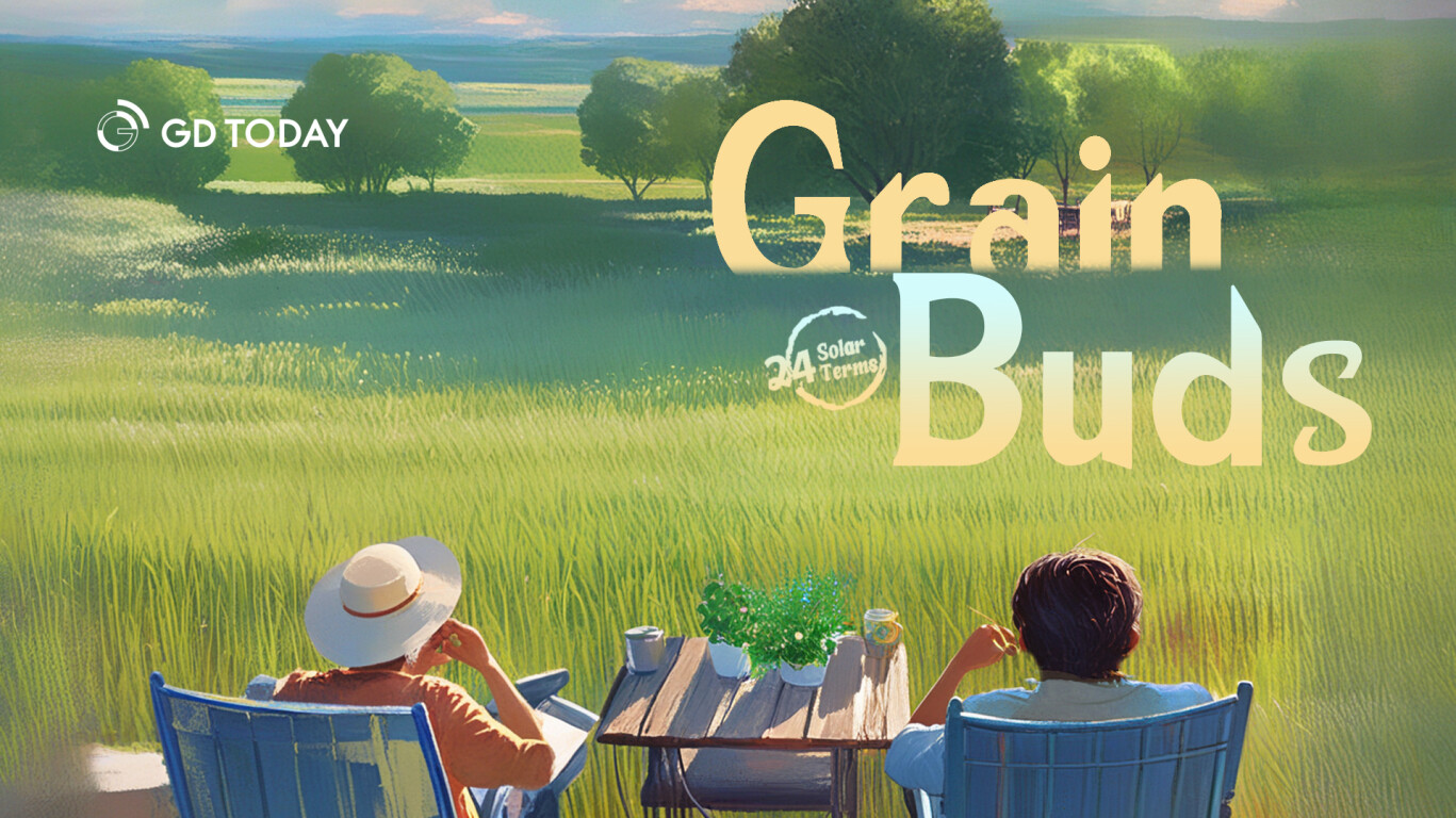 Grain Buds and art of 'less is plenty' | 24 Solar Terms