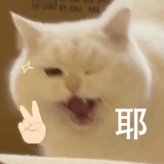 粤省事_20231102_171927.gif