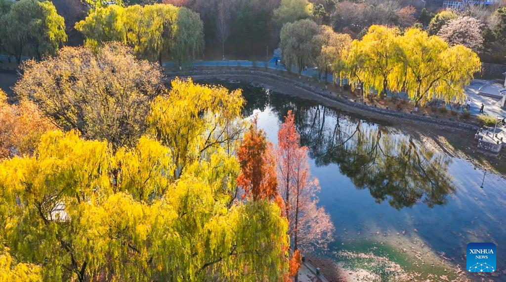 Winter scenery across China