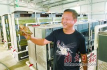江门恩平市蓝田村贫困户养殖青蟹致富 乡村建设古韵犹存 江门恩平市蓝田村贫困户养殖青蟹致富 乡村建设古韵犹存