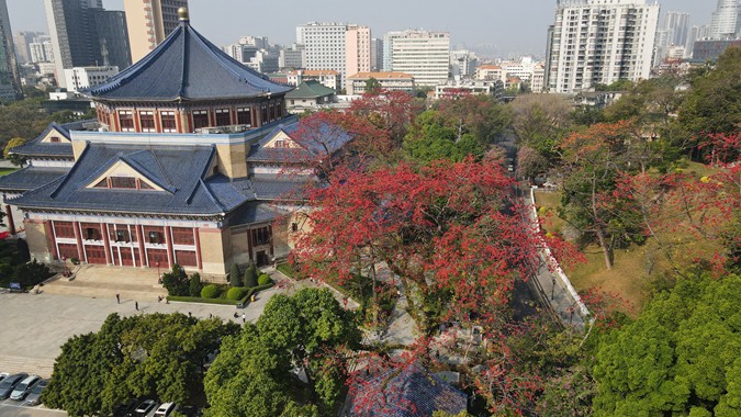 广州，真·花城！