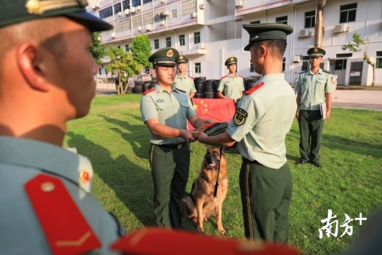潘健怡将“黑剑”移交给自己的班长。 潘健怡将“黑剑”移交给自己的班长。