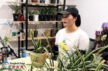 韶关翁源:发展特色产业助推贫困户脱贫增收 韶关翁源:发展特色产业助推贫困户脱贫增收