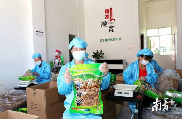 梅州高车塘村完善扶贫产业链 让群众在家门口就业脱贫