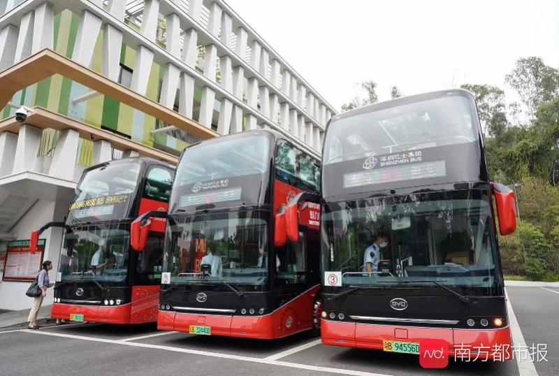 从英国到香港，现在定居深圳，这名香港城市规划师看好大湾区