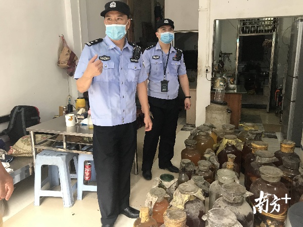 江门市公安机关侦破赵某强等涉嫌非法收购、运输、出售珍贵、濒危野生动物及其制品案件