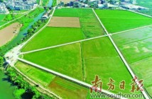一个潮汕村庄的土地流转探索:500余亩土地焕发新活力 一个潮汕村庄的土地流转探索:500余亩土地焕发新活力