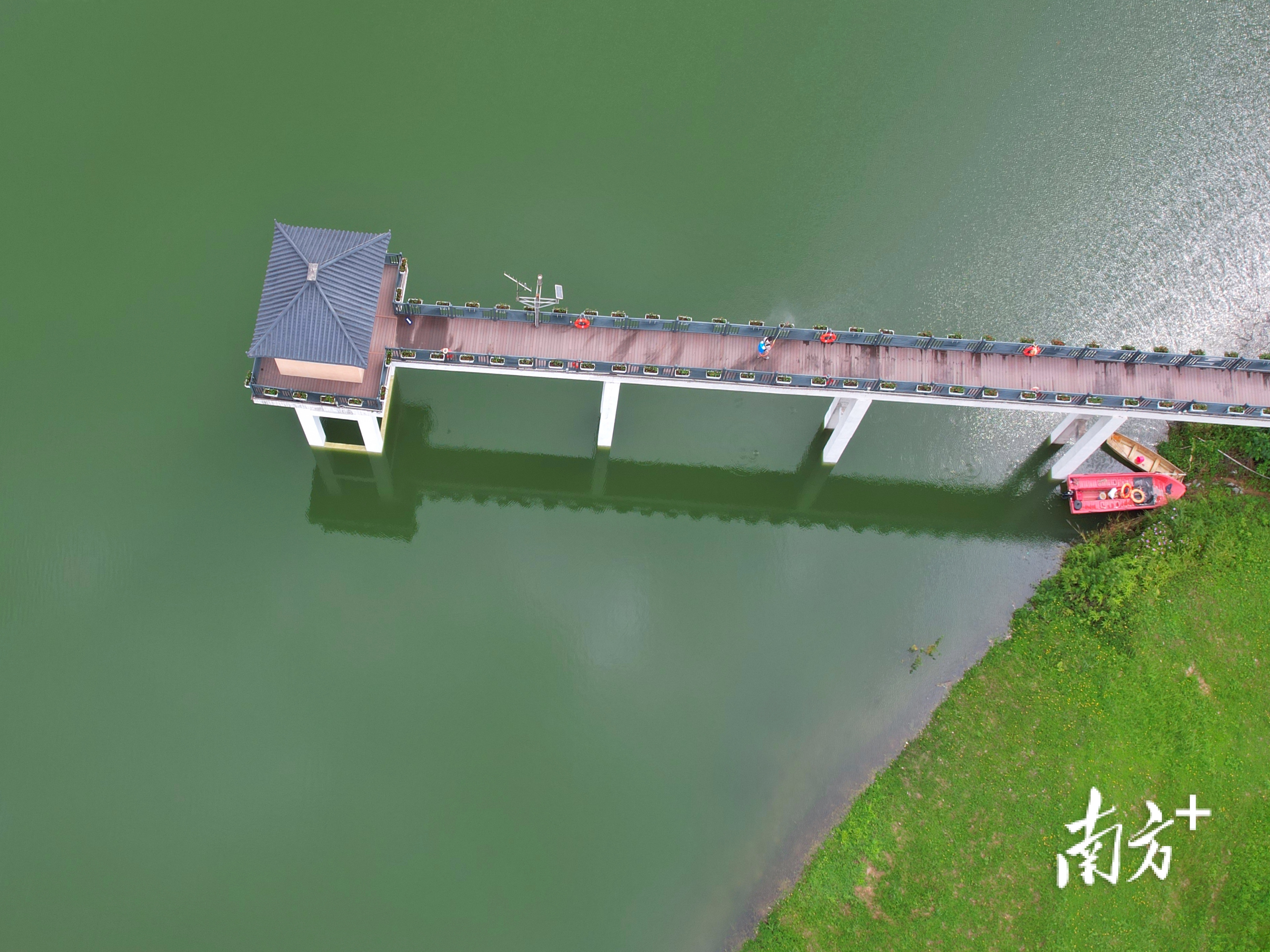 7月3日上午，广州黄埔水声水库引桥上，工人忙着打理。华宁 摄