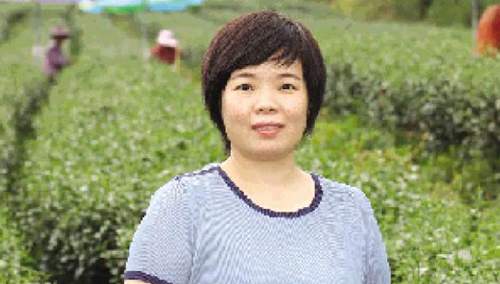 她带动家乡茶业形成全产业链:茗皇茶成"扶贫茶"