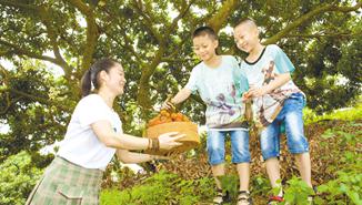 产业振兴添动能 乡村蝶变换新颜