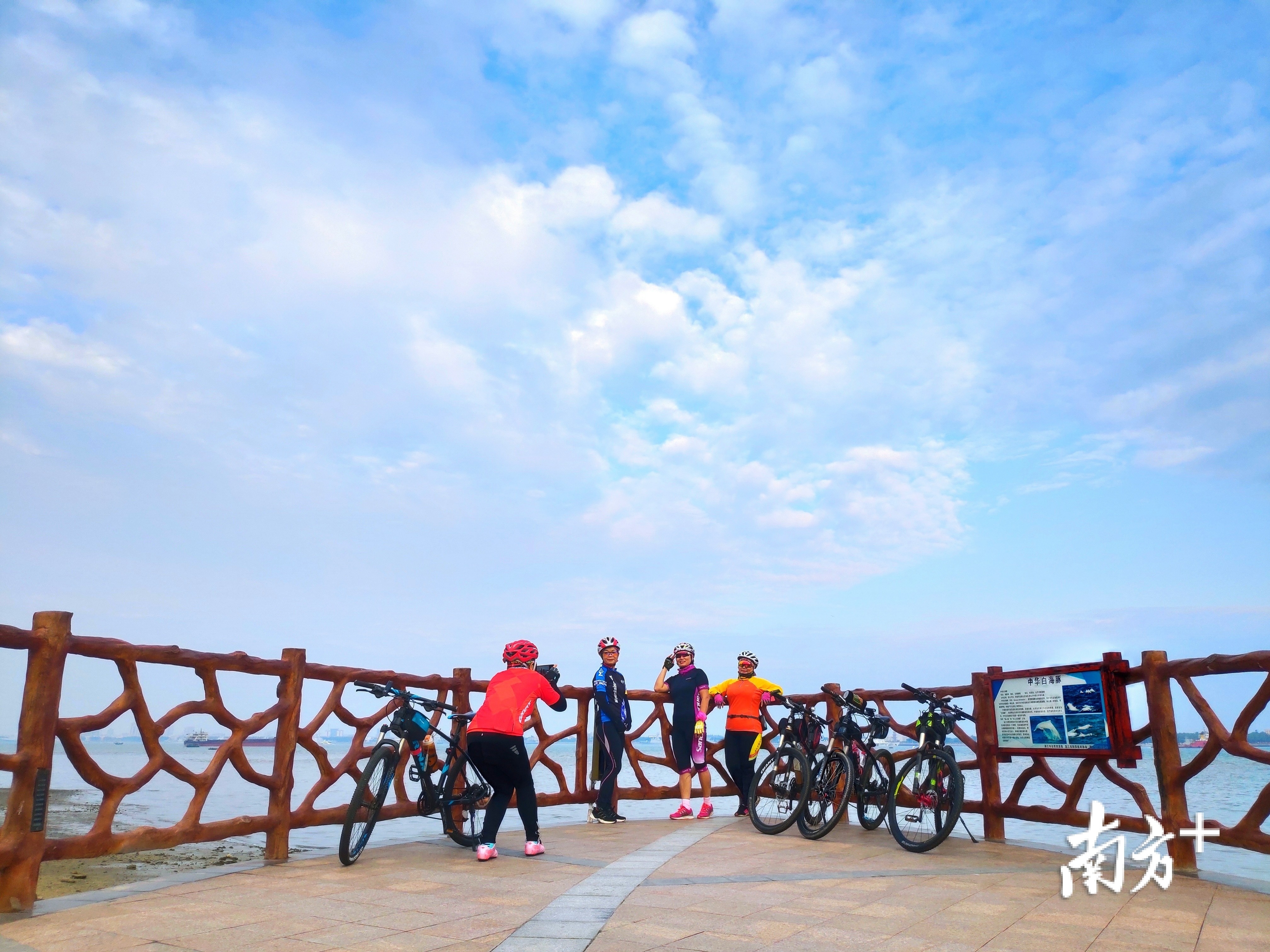 10月30日，骑行爱好者来到湛江霞山观海长廊，在红树林栈道上以蓝天白云为背景拍照留影。陈永锋 摄 