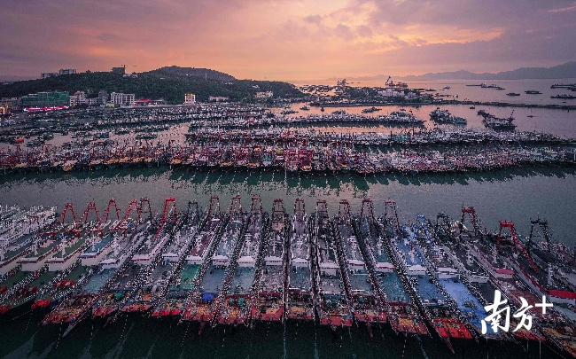 千帆加固等风来，直击阳江海陵岛渔港防风一线