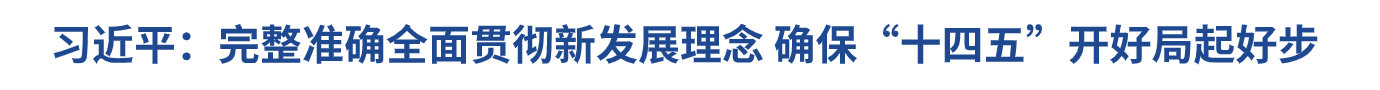 习近平：确保“十四五”开好局起好步