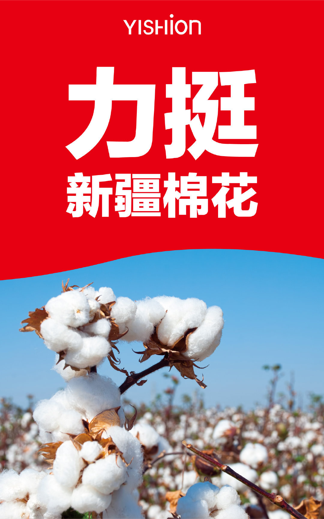 新疆棉花生产关键技术研发与示范推广：项目