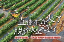 湛江市遂溪县:农村电商开辟脱贫致富新道路 湛江市遂溪县:农村电商开辟脱贫致富新道路