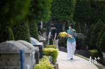 广东省约660万人入园祭扫 各地推广绿色节地生态安葬