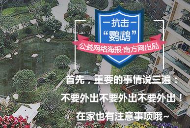 台风“鹦鹉”来了，我们为它设计了10款网络海报