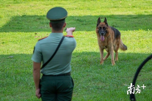 潘健怡最后一次训练“黑剑”。 潘健怡最后一次训练“黑剑”。