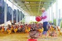 “一户一项目”助湛江坡头区南三巴东村568人全部脱贫 “一户一项目”助湛江坡头区南三巴东村568人全部脱贫