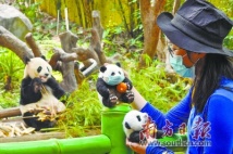 “广州人游广州”系列活动启动 推出8条特色乡村旅游线路 “广州人游广州”系列活动启动 推出8条特色乡村旅游线路