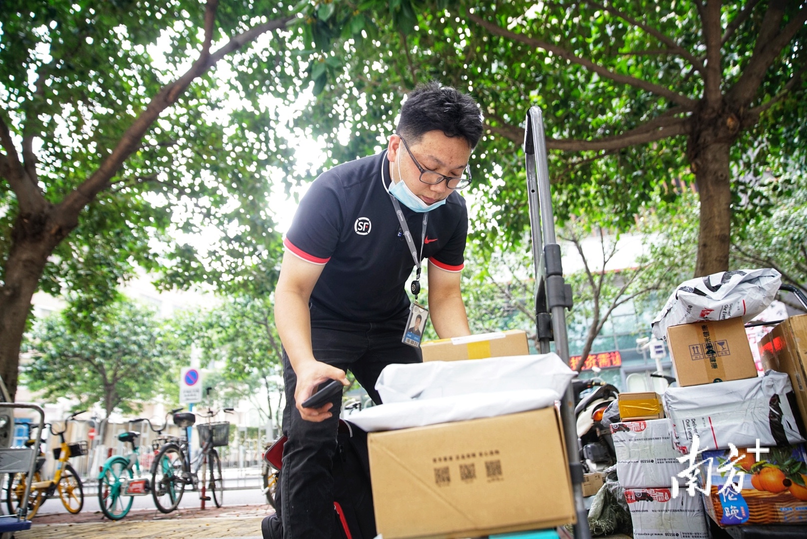 苏灿辉正在整理快递,准备派件.
