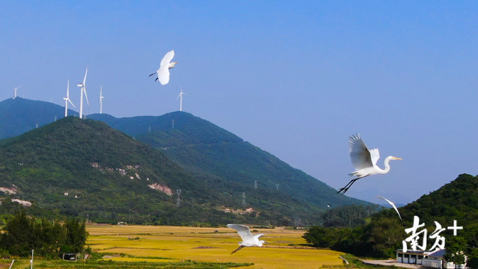 渔家风情 美丽阳东