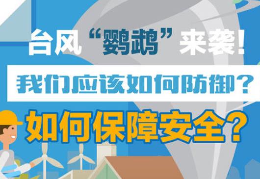 一图读懂丨台风“鹦鹉”来袭，我们应该如何防御？