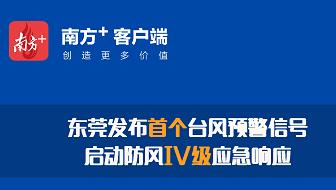 “鹦鹉”来了，东莞启动台风防风Ⅳ级应急响应