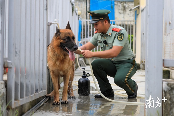 退伍前,潘健怡为“黑剑”最后一次洗澡。 退伍前,潘健怡为“黑剑”最后一次洗澡。