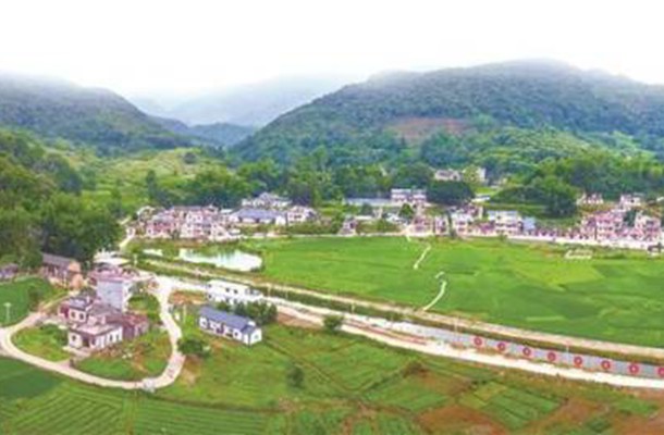 勤干巧干喜增收 河源大往村激发贫困户脱贫内生动力