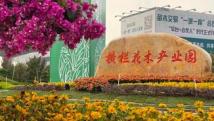 横栏花木产业迈向新征程 横栏花木产业迈向新征程