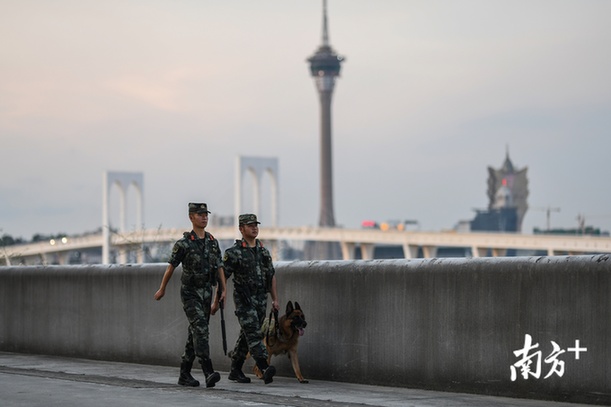 潘健怡和战友牵着“黑剑”最后一次在粤澳边界线上巡逻 潘健怡和战友牵着“黑剑”最后一次在粤澳边界线上巡逻