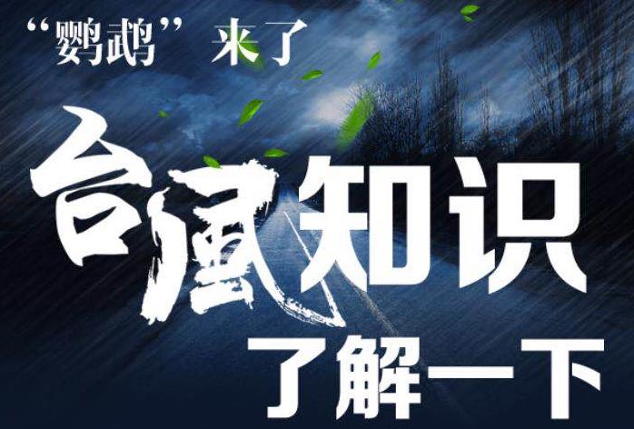 “鹦鹉”来了，带你了解台风等级、台风预警信号