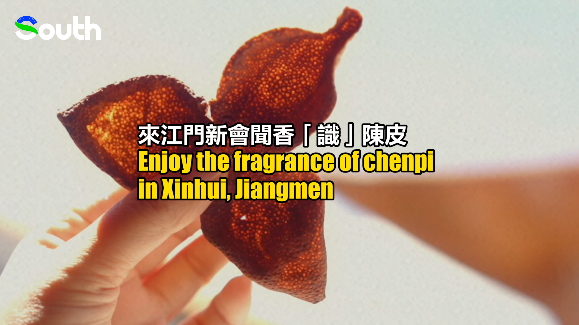 Enjoy the fragrance of chenpi in Xinhui, Jiangmen