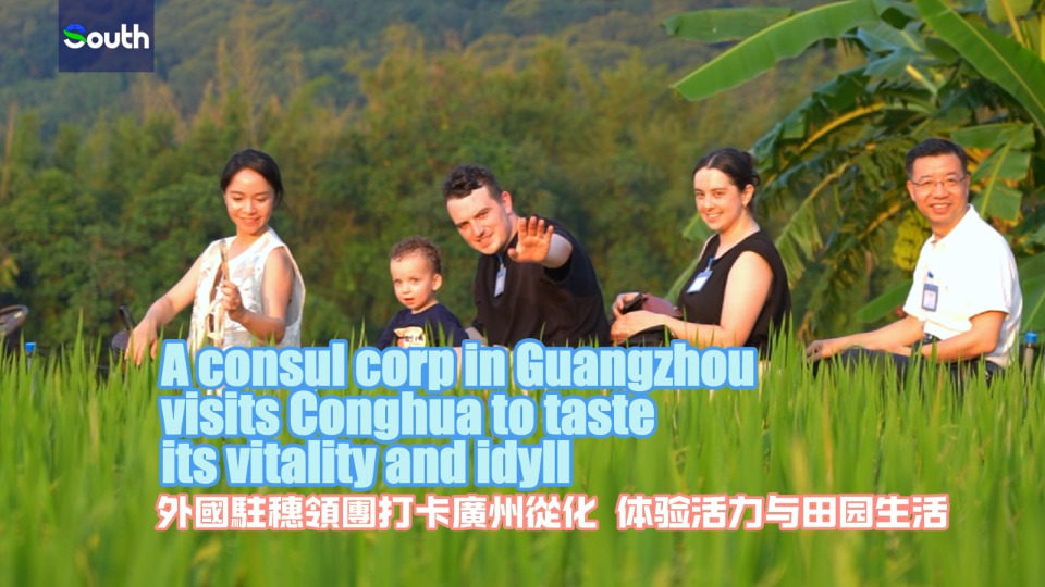 A consul corp in Guangzhou visits Conghua to taste its vitality and idyll